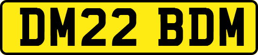 DM22BDM