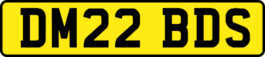 DM22BDS