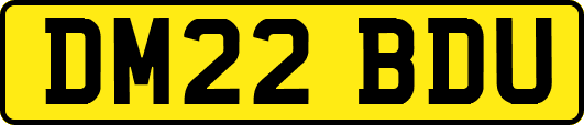 DM22BDU