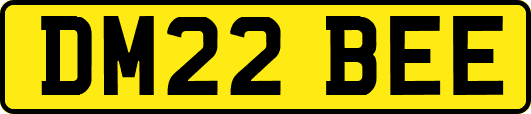 DM22BEE