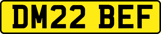DM22BEF