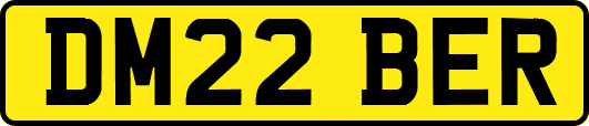 DM22BER