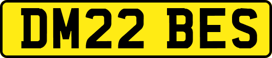 DM22BES