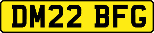DM22BFG
