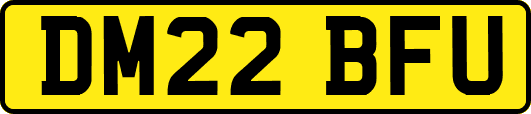 DM22BFU