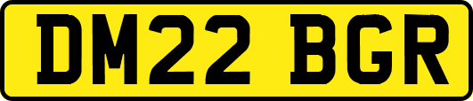 DM22BGR