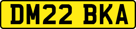 DM22BKA