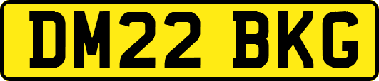 DM22BKG