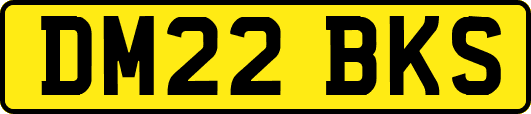 DM22BKS