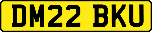 DM22BKU