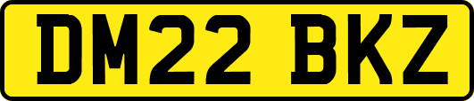 DM22BKZ