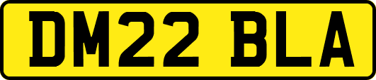 DM22BLA