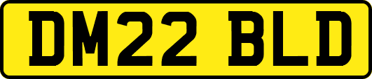 DM22BLD