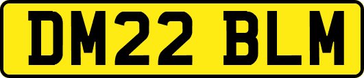 DM22BLM