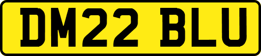 DM22BLU