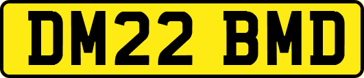DM22BMD
