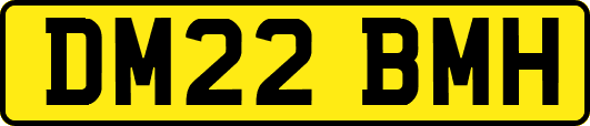 DM22BMH