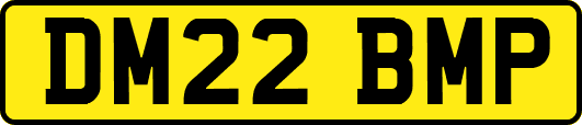 DM22BMP