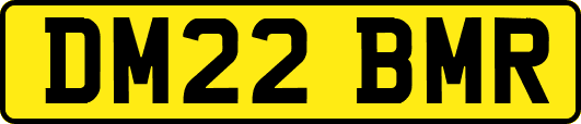 DM22BMR