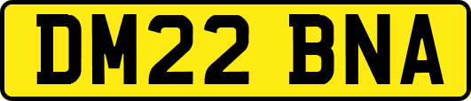 DM22BNA