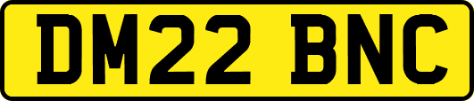 DM22BNC