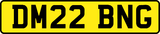 DM22BNG