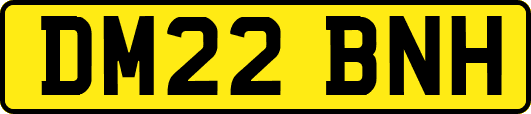 DM22BNH