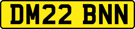 DM22BNN