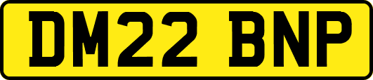 DM22BNP