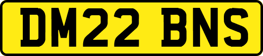 DM22BNS