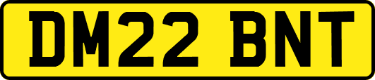 DM22BNT