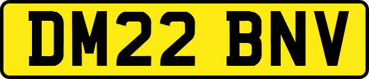 DM22BNV