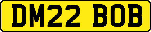 DM22BOB