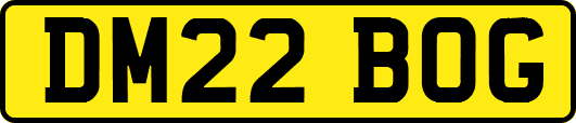 DM22BOG