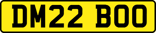 DM22BOO
