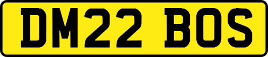 DM22BOS