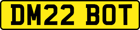 DM22BOT
