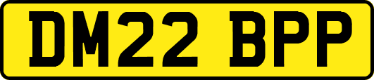 DM22BPP