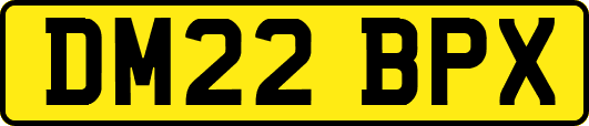 DM22BPX