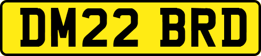 DM22BRD