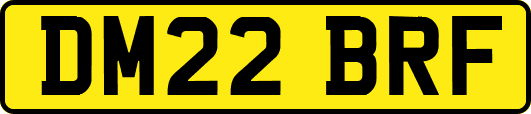 DM22BRF