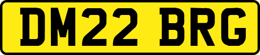 DM22BRG