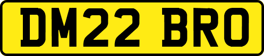 DM22BRO