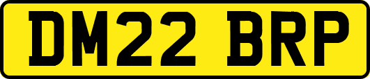 DM22BRP