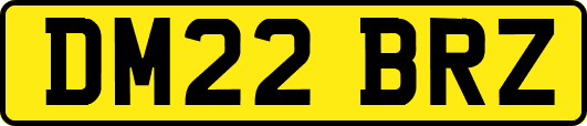 DM22BRZ