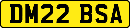 DM22BSA