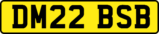 DM22BSB