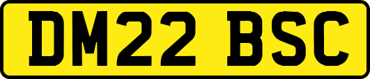DM22BSC