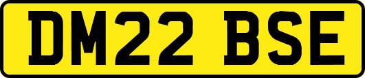 DM22BSE