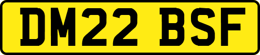 DM22BSF